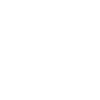 Vimoplast